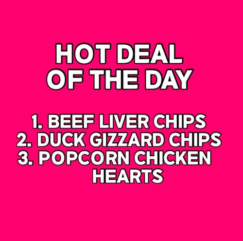 Hot Deal of the Day