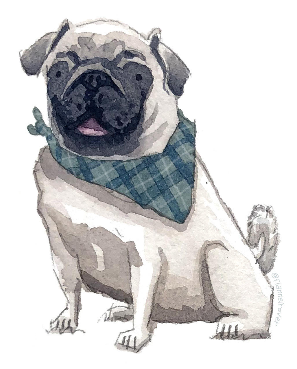 Bandana pug 2024